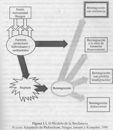 resiliencia modelo